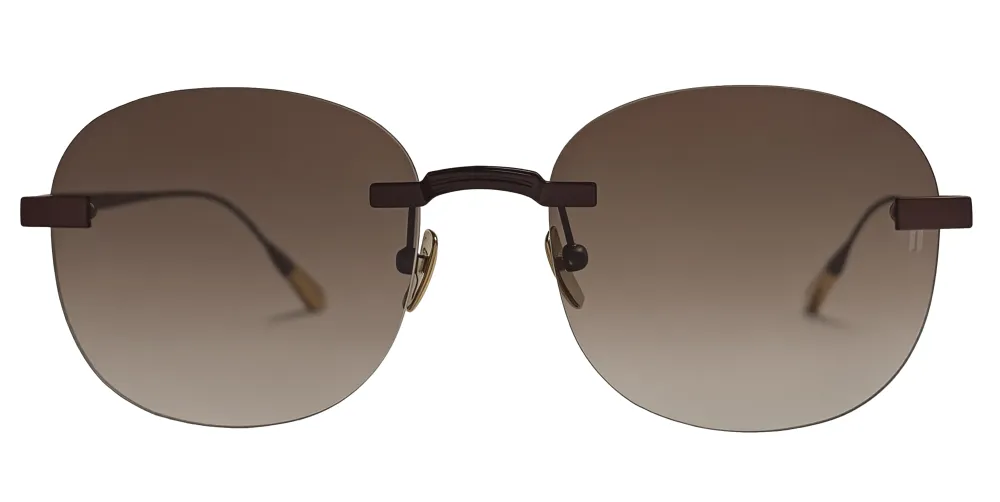 Titanium Brown Frame Brown Lens Sunglasses with Carl Zeiss Vision™