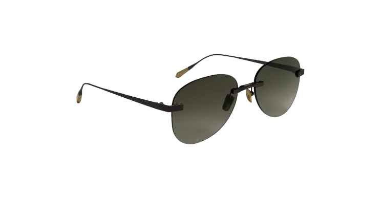Titanium Brown Frame Green Lens Sunglasses with Carl Zeiss Vision™