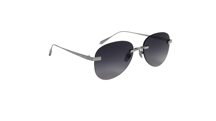 Titanium Silver Frame Grey Lens Sunglasses with Carl Zeiss Vision™