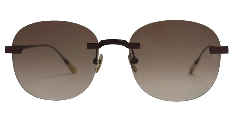 Titanium Brown Frame Brown Lens Sunglasses with Carl Zeiss Vision™