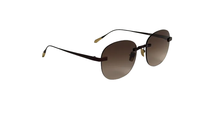 Titanium Brown Frame Brown Lens Sunglasses with Carl Zeiss Vision™